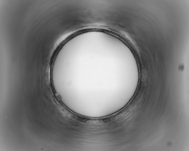 X0000099301320200805231333