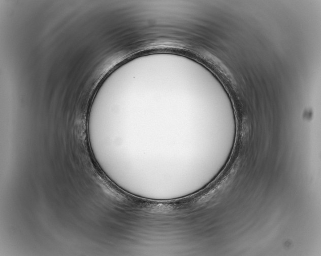 X0000099301321200805231333