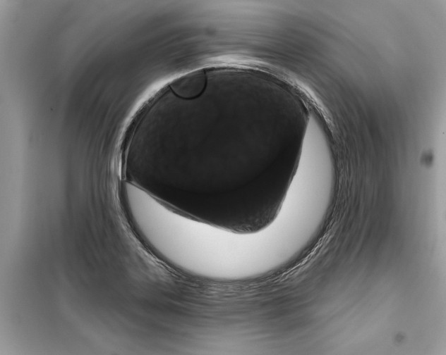 X0000099301323200805231333