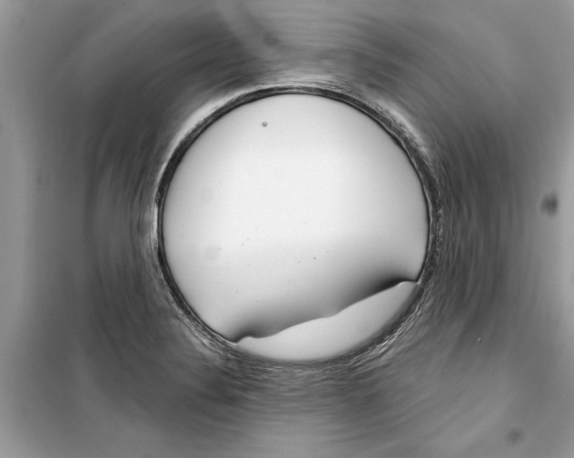 X0000099301324200805231333