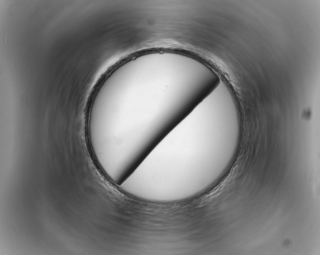 X0000099301326200805231333