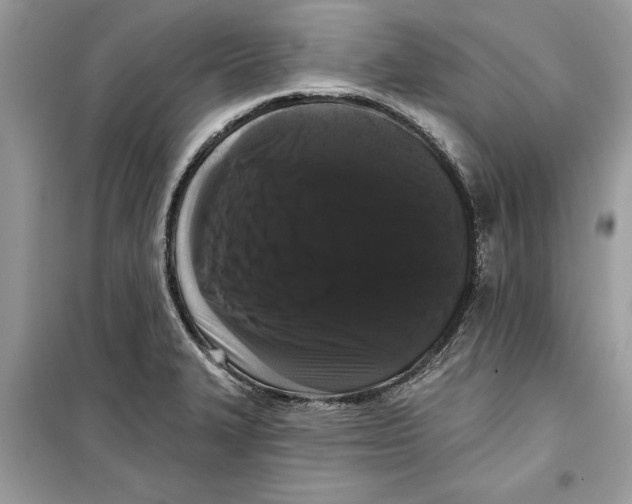 X0000099301327200805231334