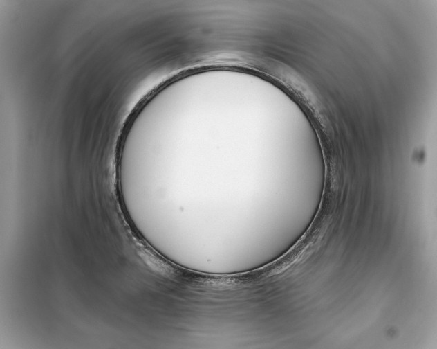 X0000099301328200805231334