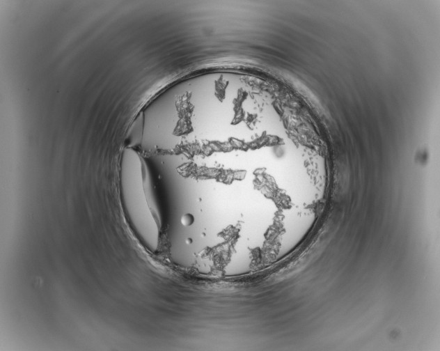 X0000099301329200805231334