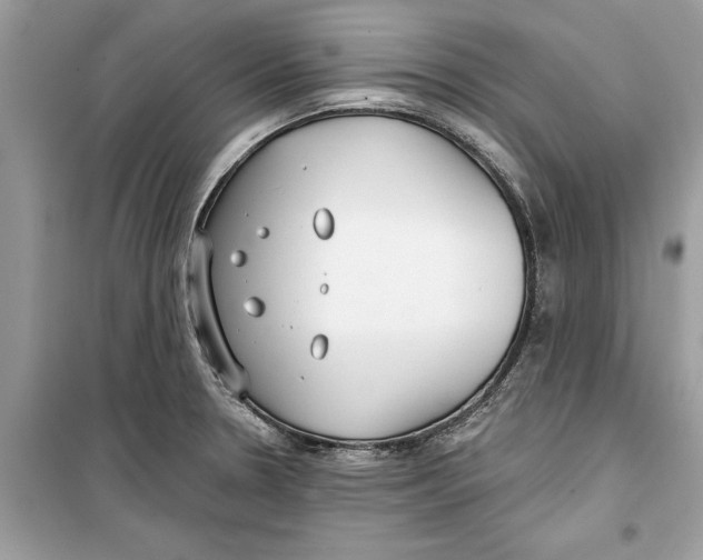 X0000099301330200805231334