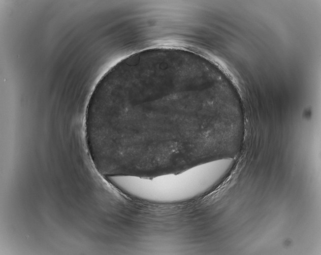 X0000099301331200805231334