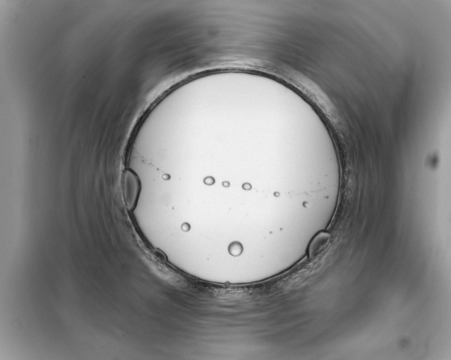 X0000099301332200805231334