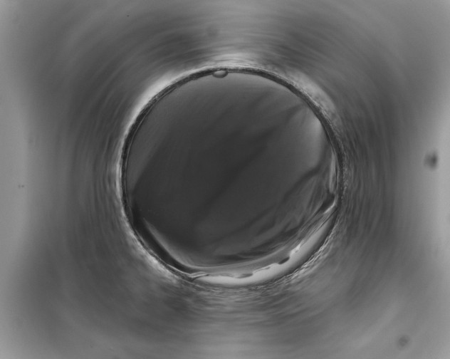 X0000099301334200805231334