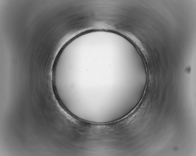 X0000099301335200805231334