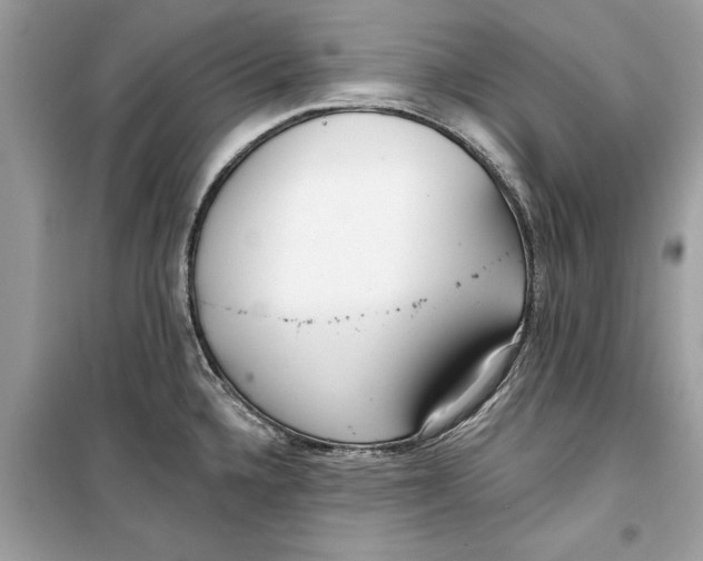 X0000099301336200805231334