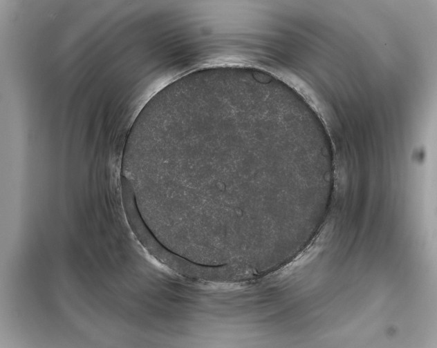 X0000099301337200805231334