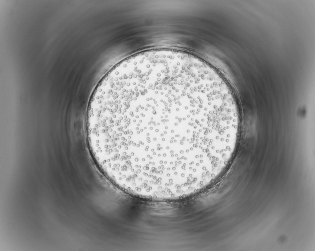 X0000099301338200805231334