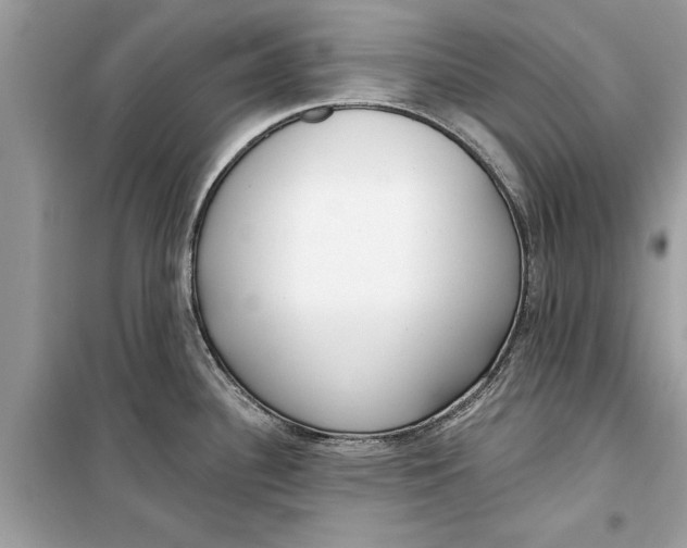 X0000099301340200805231334