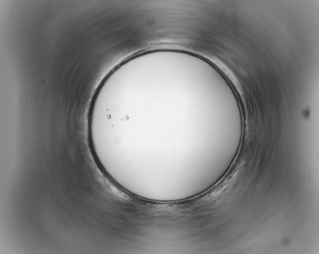 X0000099301341200805231334