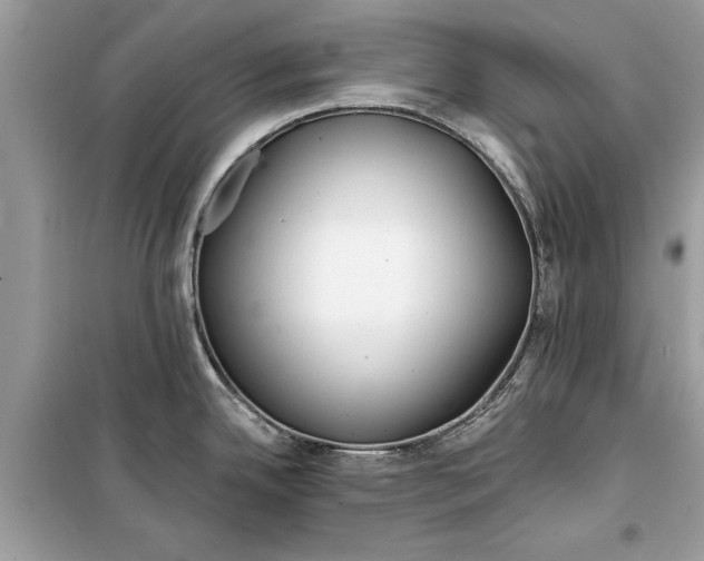 X0000099301342200805231334