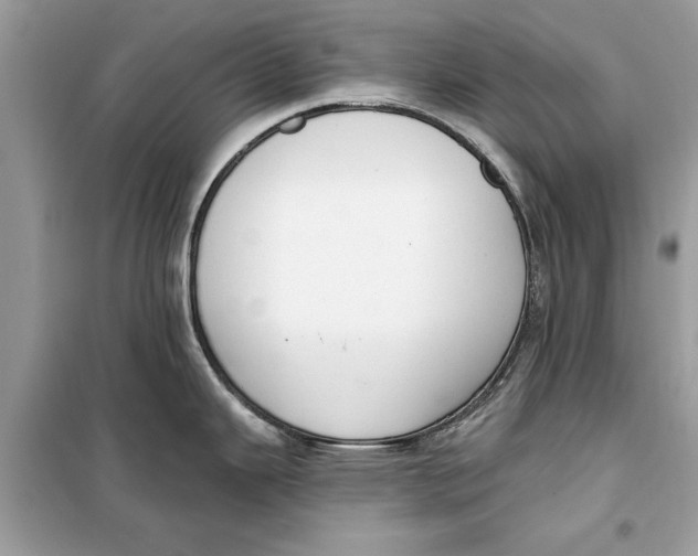 X0000099301343200805231334