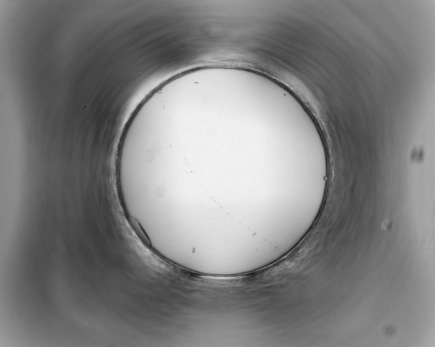 X0000099301344200805231334