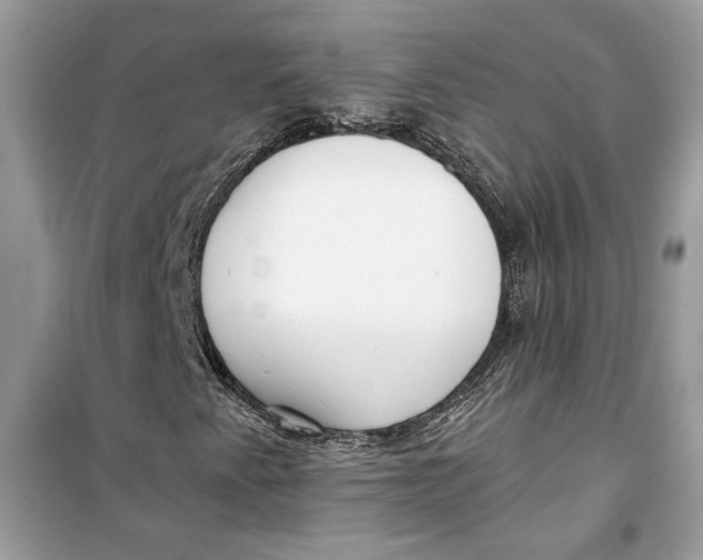 X0000099301345200805231333