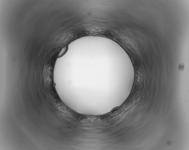 X0000099301346200805231333