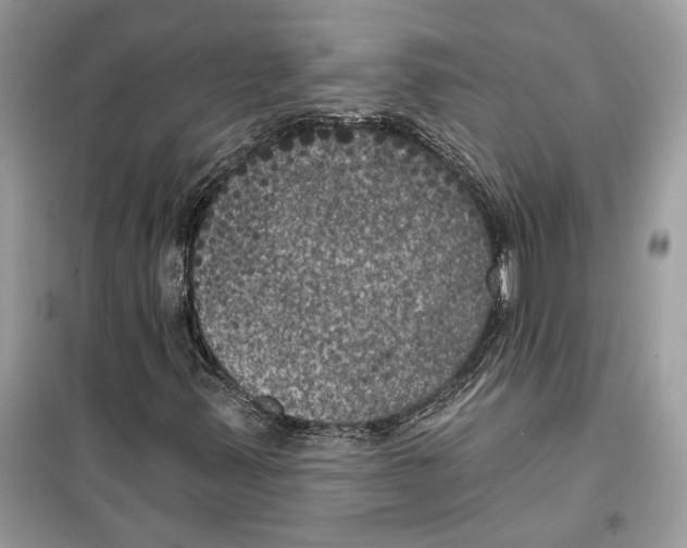 X0000099301347200805231333