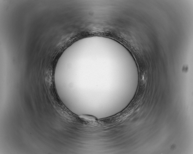 X0000099301348200805231333