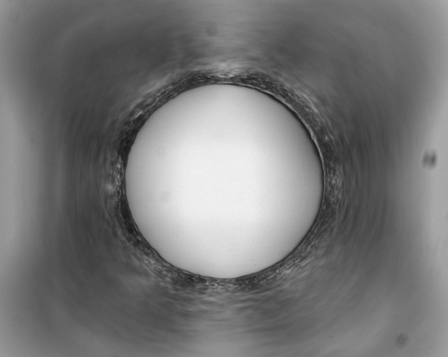 X0000099301349200805231333