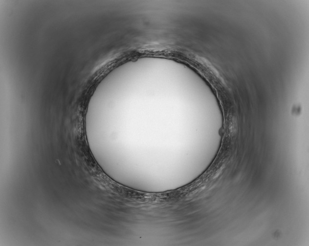 X0000099301350200805231333