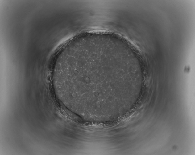 X0000099301351200805231333