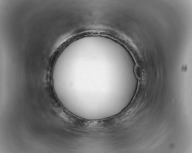 X0000099301352200805231333