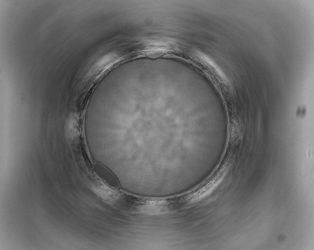 X0000099301353200805231333