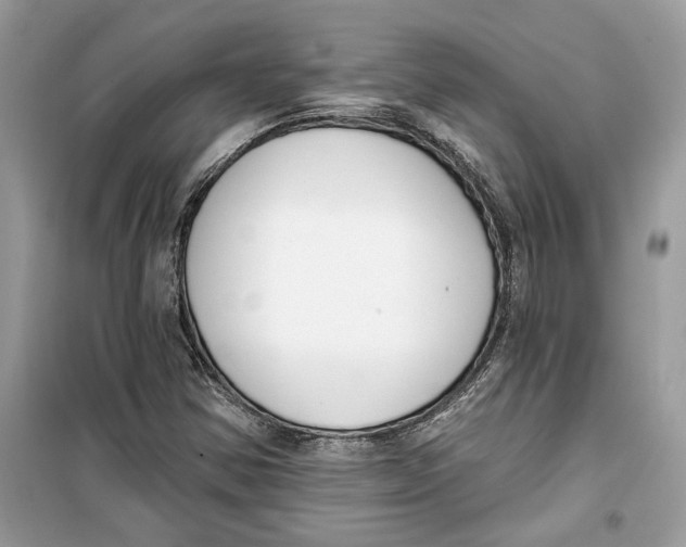 X0000099301354200805231333