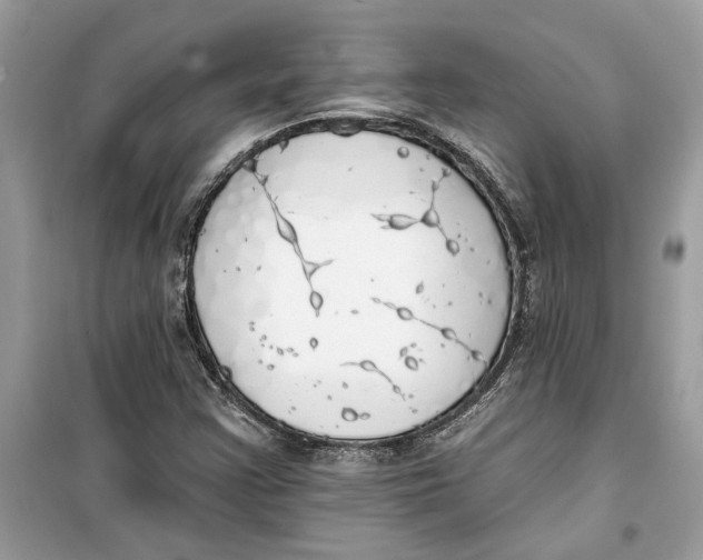 X0000099301355200805231333