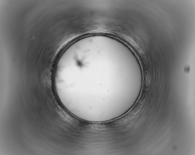 X0000099301356200805231333