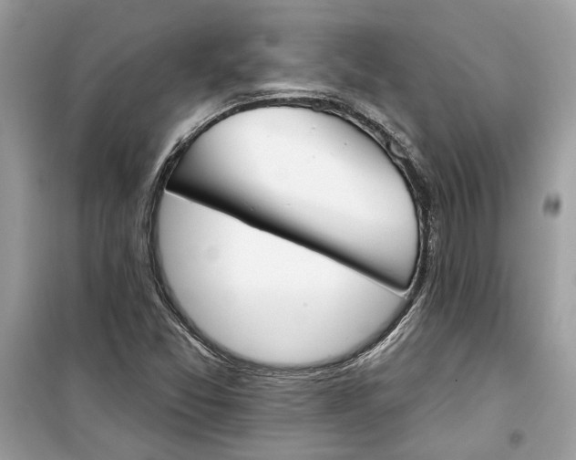 X0000099301357200805231333