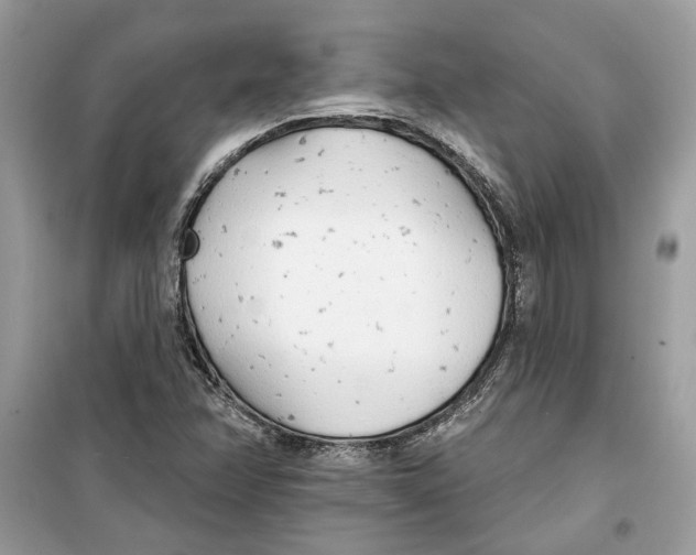 X0000099301358200805231333