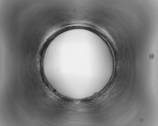 X0000099301360200805231333