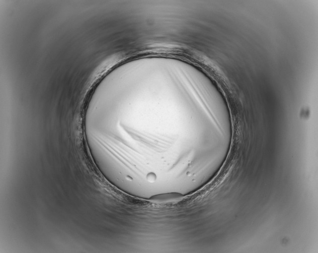 X0000099301362200805231333