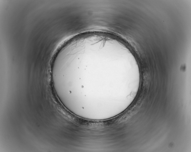 X0000099301363200805231333