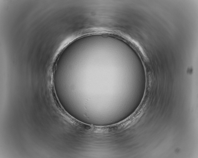 X0000099301365200805231333