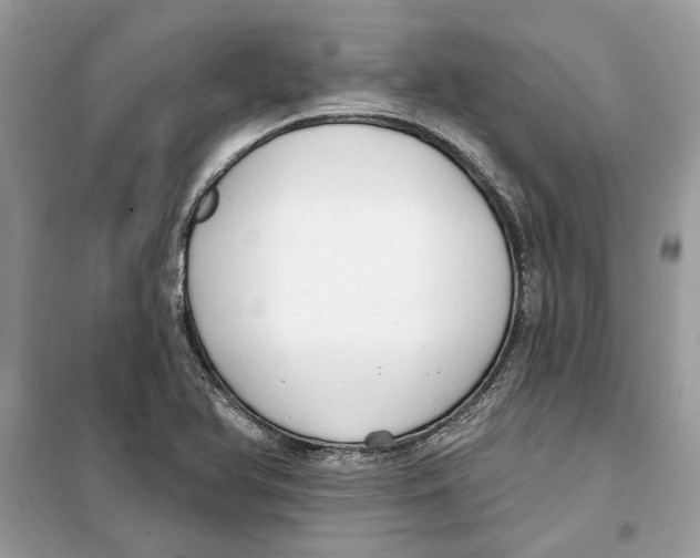 X0000099301366200805231333