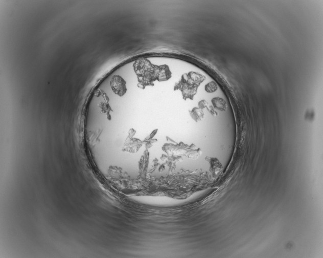 X0000099301367200805231333