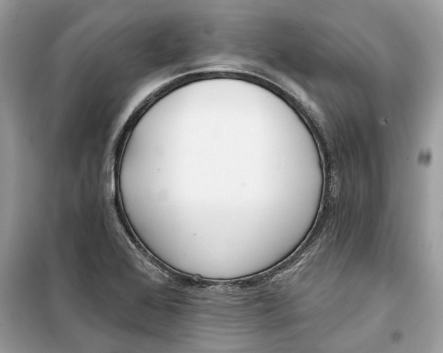 X0000099301368200805231333