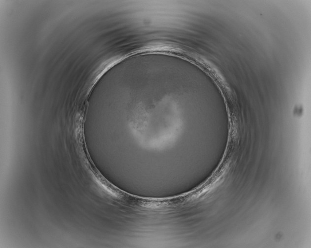 X0000099301369200805231333