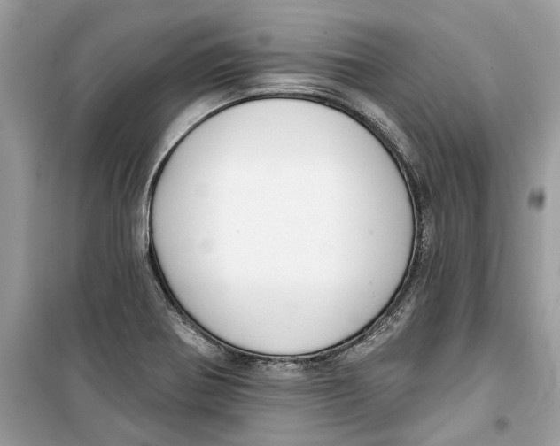 X0000099301370200805231333