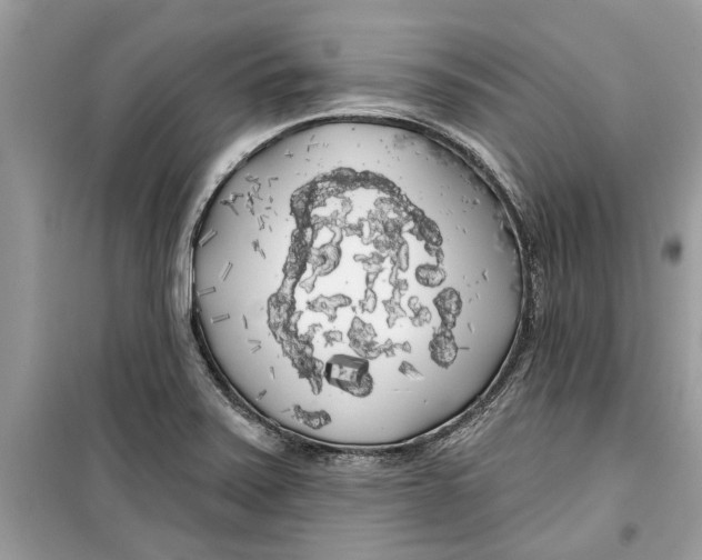 X0000099301371200805231333