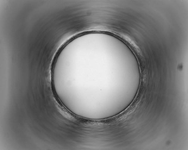 X0000099301372200805231333