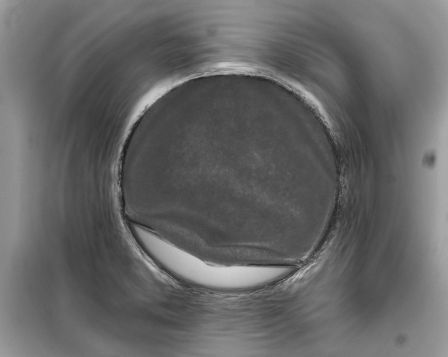 X0000099301373200805231333