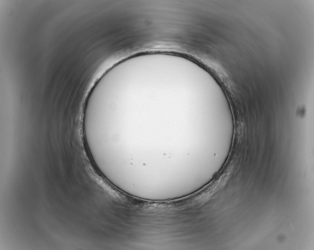 X0000099301374200805231333