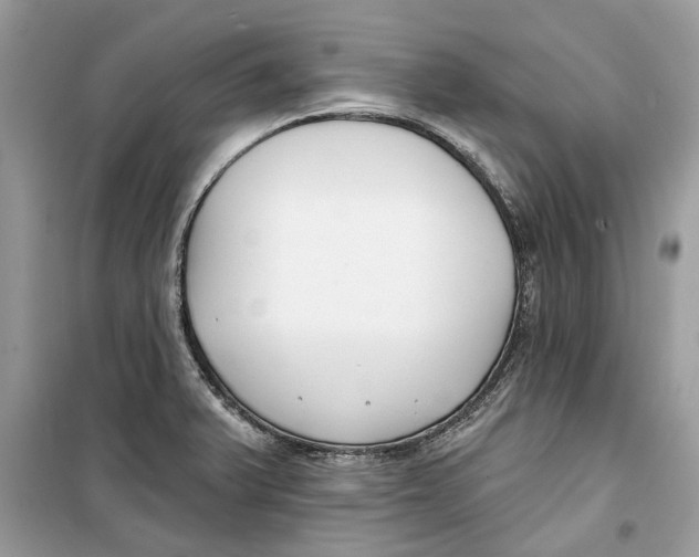 X0000099301375200805231333