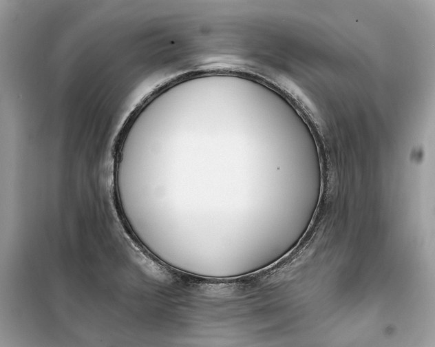 X0000099301376200805231333